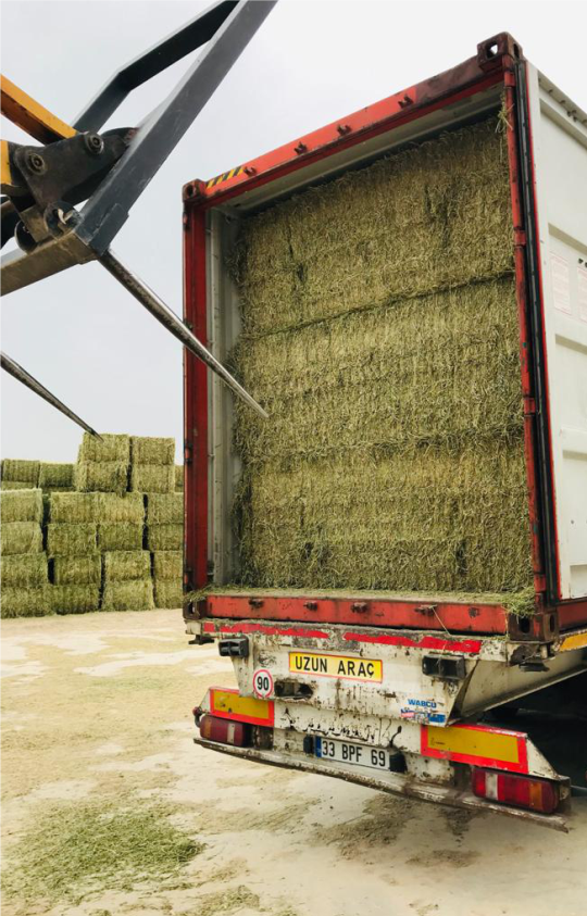 tracebility alfalfa hay